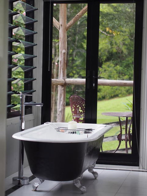 Nightcap Ridge - Byron Bay Hinterland - Click Find 3