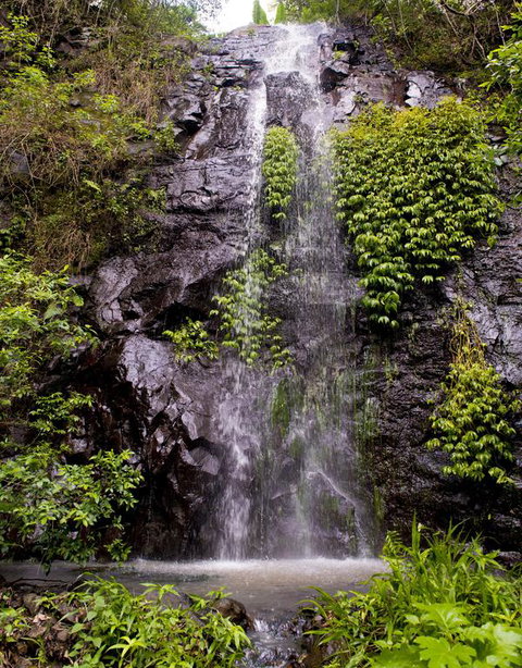 Nimbin Waterfall Retreat - Click Find 3