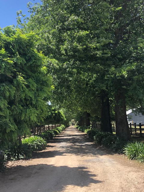 Oak Lane Guest House & Farm Stay - DBD 0