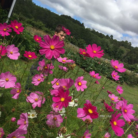 Pennyroyal Otways Retreat - Click Find 3