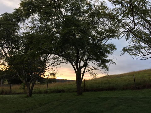 Ponytail Farmhouse - Click Find 0