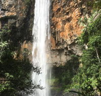 Purling Brook Falls Gwongorella - Click Find