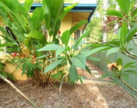 Rainforest Cottage Cairns
