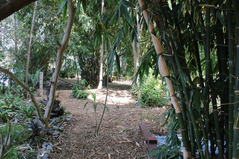 Rainforest, Water Front, River Shack, Secluded. - Bet 4u 0