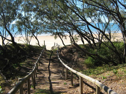SeaEagles Beach Resort - Click Find 2