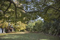 Business in Blackheath NSW DBD DBD
