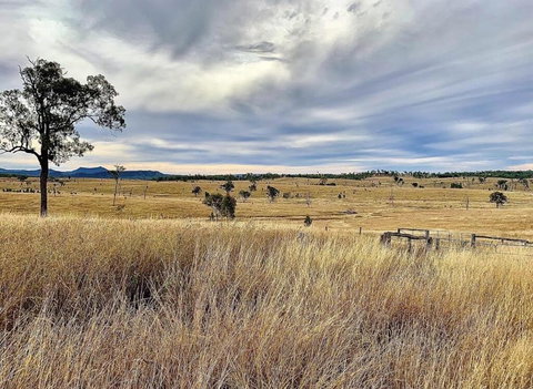 Skyline Farm House - Bet 4u 3