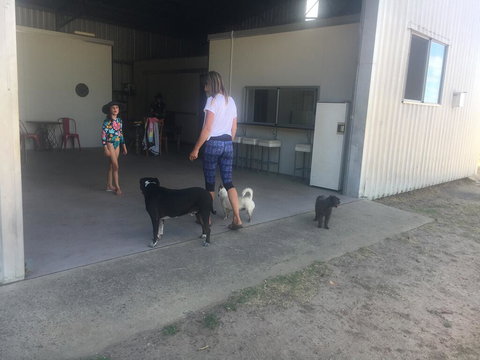 Something Different - Bet 4u 2