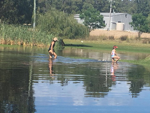 Something Different - Bet 4u 1