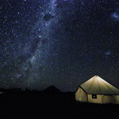 Starfields Luxury Camping - Bet 4u 3