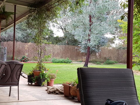 Sue's Sanctuary - Lavinia 0