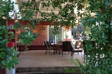 Sue's Sanctuary - Lavinia 1