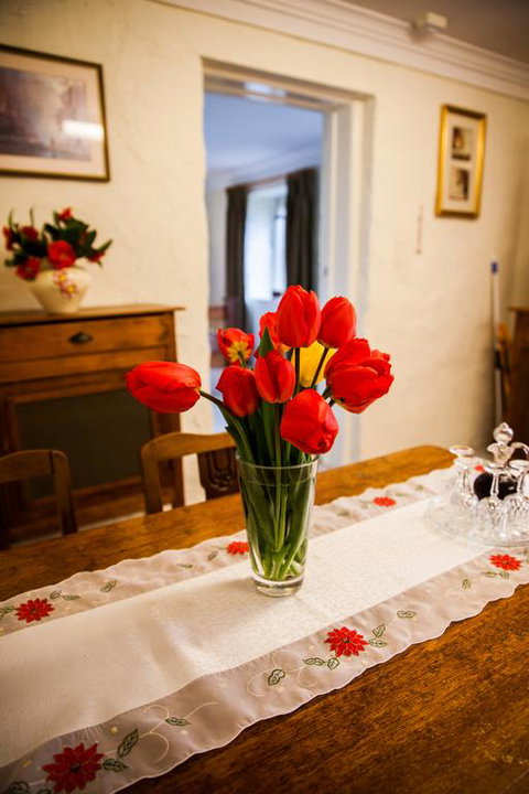 Sunnyside Cottage - Bet 4u 3