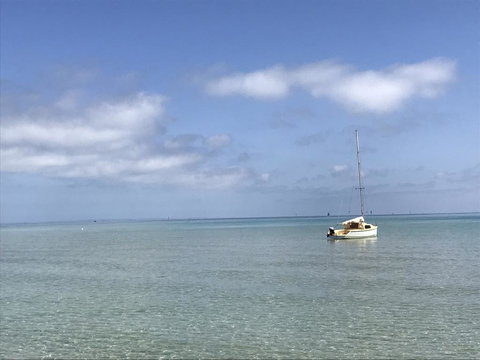 Sunset Over Sea Rosebud McCrae - Bet 4u 3