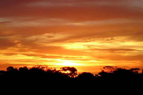 Sunsets, Sea, Wine - Bet 4u 3