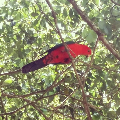 Sunshine Valley Cottages - Bet 4u 3