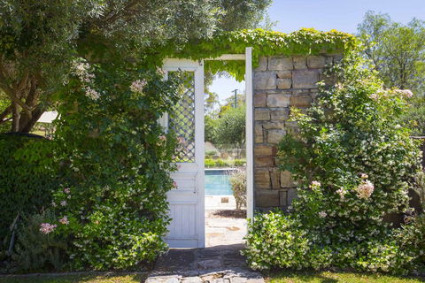 Talits Vineyard Estate - DBD 2