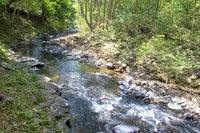 Business in Alstonville NSW Bridge Guide Bridge Guide