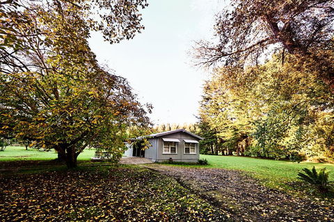 Tarkinegrove - DBD 1