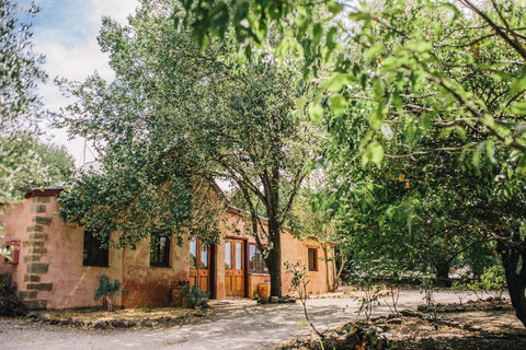 Terroir Auburn - Bet 4u 0