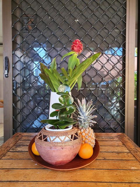 The Balinese - DBD 2