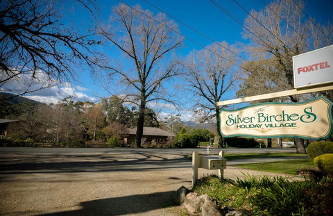 The Birch House - Silver Birches Luxury Accommodation Bright - Bet 4u 3