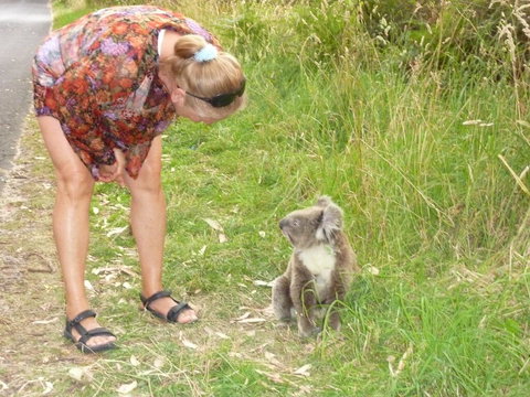 The Boomerangs At Johanna - Bridge Guide 3