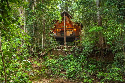 The Canopy Rainforest Treehouses & Wildlife Sanctuary - Bridge Guide 2