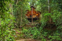 The Canopy Rainforest Treehouses Wildlife Sanctuary