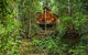 The Canopy Rainforest Treehouses & Wildlife Sanctuary - thumb 0