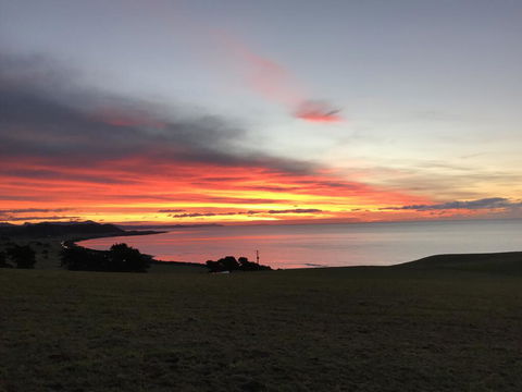 The Cove Tasmania - Bet 4u 1