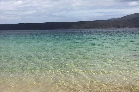 The Cove... On The Rocks At Port Arthur - Bridge Guide 1