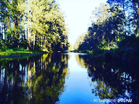 The Dairy Bales At Moo River Farm - Bet 4u 2