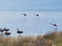 Business in Australind WA Bridge Guide Bridge Guide