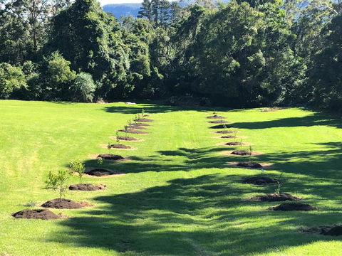 The Drawing Rooms Of Berry - Bridge Guide 3