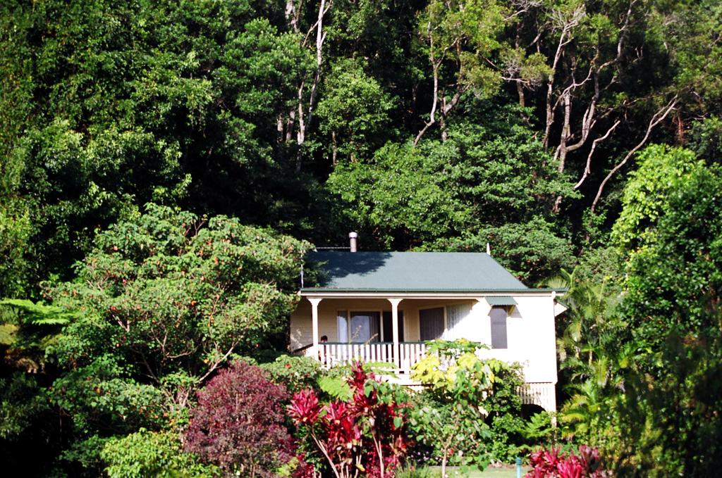 Sunshine Coast Hinterland QLD Clickz