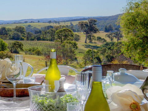The Farmhouse - Grape Vines And Rolling Green Hills - Lavinia 0