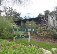 The Fig Tree BB - Click Find