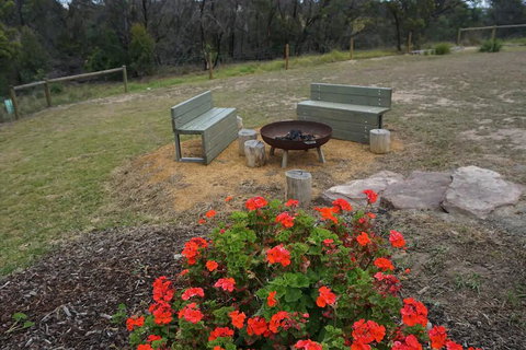 The Friendly Pelican - Local Finder 3