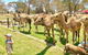 The Funny Farm - Animals / Churchhouse / Amazing Experience - thumb 0