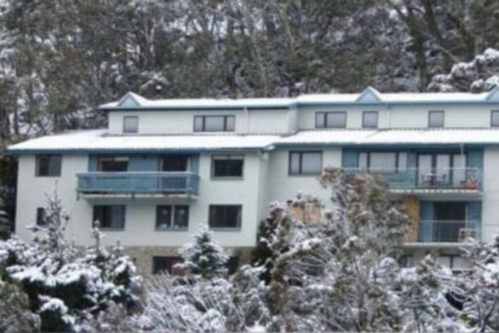 Snowy Mountains NSW Bet 4u