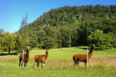 The Heavens Mountain Escape - Click Find 2