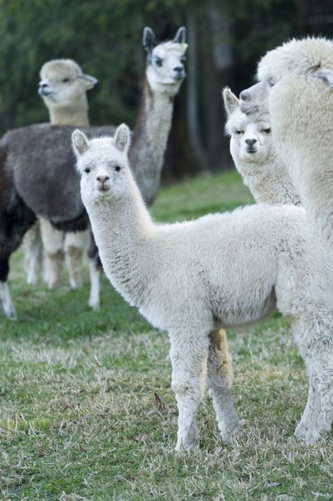 The Heavens Mountain Escape - Click Find 3