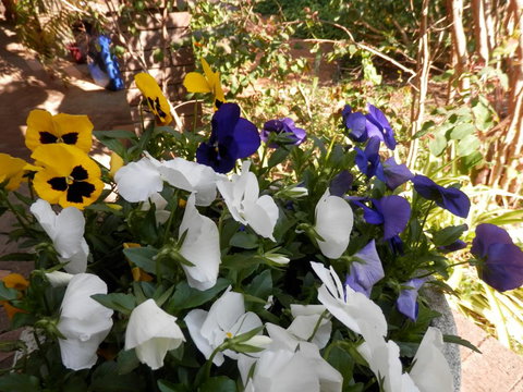 The Hideaway Luxury B&B Retreat - Bet 4u 1