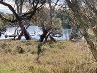 Business in Quindalup WA Click Find Click Find