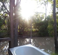 The Laurels of Chinchilla - Click Find