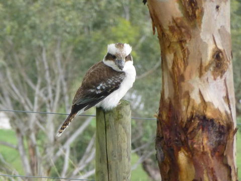 The Little House On The Hill - Click Find 1