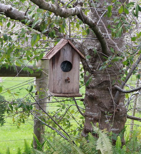 The Little House On The Hill - Click Find 3