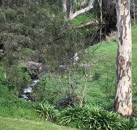 The Miners Cottage Barossa - DBD