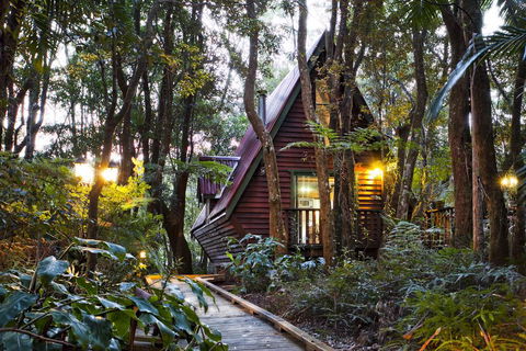 The Mouses House Rainforest Retreat - Bet 4u 1